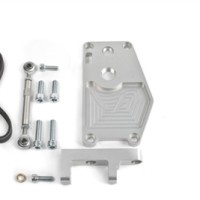 Electronic Water Pump Plate (w Alternator Mount & Belt)