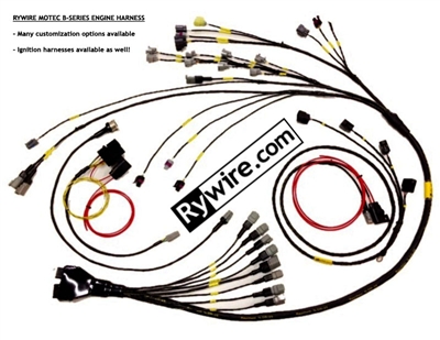 Motec B-series engine harness  Garagerz Automotive
