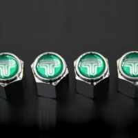 TEIN VALVE CAPS SET